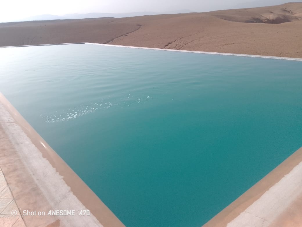 WhatsApp Image 2025-03-21 à 22.41.50_d9485338.jpg